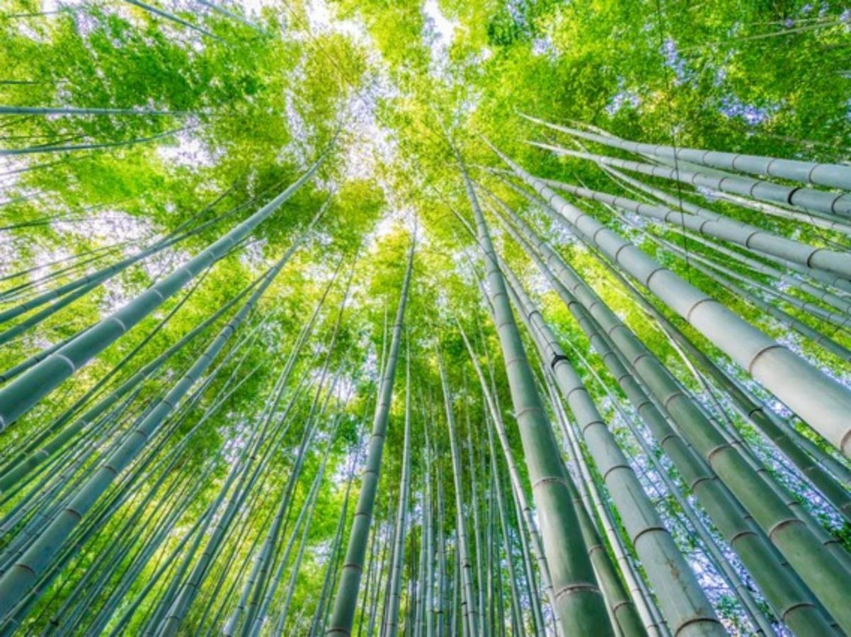 Kamakura Cocon Hotel Luaran gambar